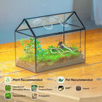 NCYP Glass Terrarium with Lid and Air Holes for Snails - 10.2" x 5.9" x 8.2" House Shape Geometric Clear Terrarium, Indoor Tabletop Decor Black (Plants Not Included) - Image 2