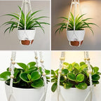 Hanging Planters - Help Plants Thrive in Low Light - Image 5