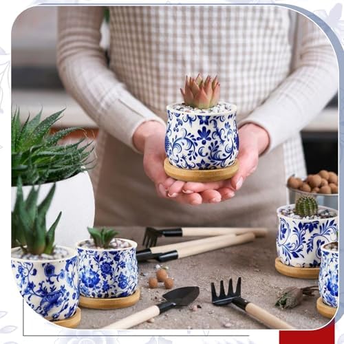 12 Pcs 3" Ceramic Chinoiserie Succulent Plant Pot Blue and White Porcelain Planter with Bamboo Tray Drainage Hole Mini Chinese Flower Jardiniere for Cactus Herbs Home Office Indoor Decor - Image 6