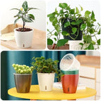 Self-Watering Pots for Indoor Plants, 16-Pack Self Watering Planter with Drainage Holes, Small African Violet Pots with Water Indicator, 10-Pack 5''/6-Pack 6.7'' Orchid Pot, Black - Image 7
