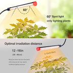 FRGROW 10Head Grow Light with Stand for Tall&Large Indoor Plants - Image 3