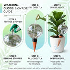 2 Pack 26 oz Extra Large Plant Self Watering Globes to 3 Weeks Watering - Image 7