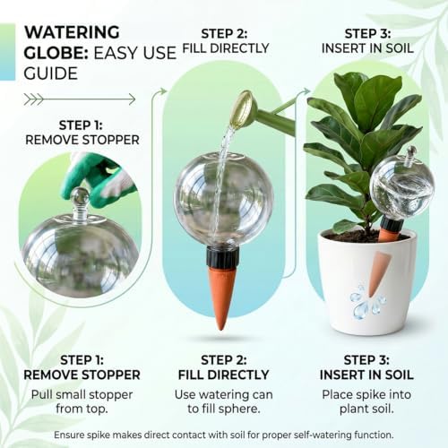 2 Pack 26 oz Extra Large Plant Self Watering Globes to 3 Weeks Watering - Image 7