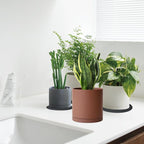 Yukfona Ceramic Plant Saucer Tray 1 Pcs 10 Inch Brown, 10.83" OD x10.24 ID x1.1 Deep| Fits Flower pots Bottom≤ 10.24", Heavy Duty Glazed Round Planter Drip with Catch Basin for Indoor Outdoor Plants - Image 5