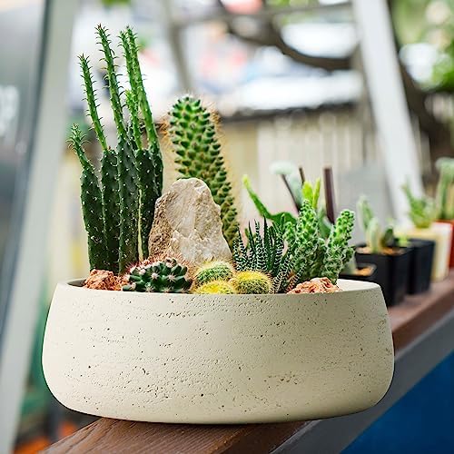 Olly & Rose Large Ceramic Planter Bowl Shallow Plant Pot - Off White Cream Ivory Flower Pot Indoor and Outdoor Decorative Bowl Garden and Home Décor - Image 3