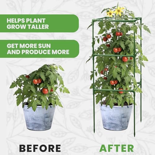 6 Pack 41" Square Tomato Cages for Garden - Large Tomato Trellis Stakes - Image 5