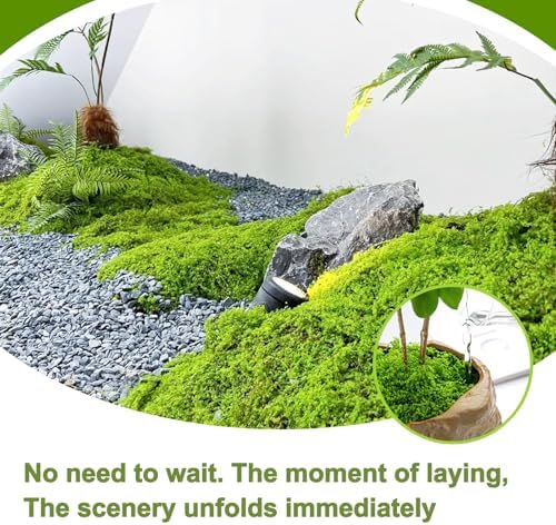 Preserved Green Moss Mat for Decoration Carpet Grass Wall, Natural Decorative for Plants Indoor with Base Fabric, Artificial Moss Mat for Wedding, Floral DIY (39.37 * 78.74 inch) - Image 3
