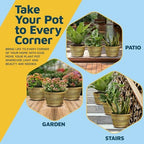 10-Inch Whiskey Barrel Planters Outdoor Pack of 2 - Durable Plastic Plant Pots for Indoor & Outdoor Use with Drainage & Saucer, Lightweight Rustic Barrel Planters for Flowers, Herbs & Small Plants - Image 7