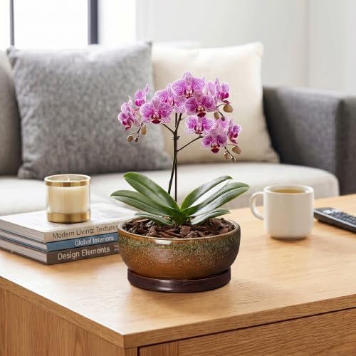Ceramic Bonsai Pots, 8 Inch Succulent Pots with Tray, Speckle Brown - Image 5