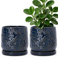 D'vine Dev 2-Pack Embossed Leaves Planter, 6 in, Midnight Blue, 27-F-X-3 by DvineDevPlanterPotsandStand
