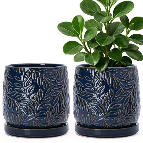 D'vine Dev 2-Pack Embossed Leaves Planter, 6 in, Midnight Blue, 27-F-X-3 by DvineDevPlanterPotsandStand