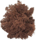500g Artificial Moss for Crafts, Faux Decorative Plant for DIY Walls Wedding Party Table Centerpieces Home, Coffee by LKXHarleya