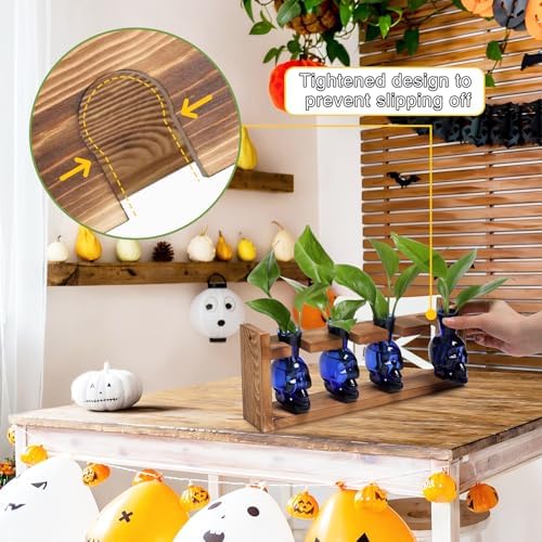 Plant Propagation Stations Halloween Skull Plant Terrarium Kit - Image 2