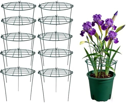 10 Pack 20 x 30 inch Poeny Cage Grow Through Grid Plant Brace Flower Support Rings,Round Metal Plant Stakes Rings, Strong Large Garden Supports for Flowers, Peonies, Rose, Lily by MTBGarden
