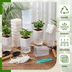 30 Pack 2.5" Small Self Watering Pots for Indoor Plants Clear Mini Self Watering Plant Pot with Water Level, Drainage Holes 30 Plastic Label 3 Planting Tools, Rope for Propagation Succulents - Image 5