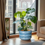 SQOWL 10 Inch Planter Pot - Ceramic Plant Pot with Drainage Hole Planter for Indoor Plants Large Flower Pot Decorative Plant Pot Outdoor Planter for Porch Decor Blue - Image 2