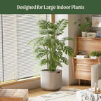 15 Inch Self-Watering Planter for Indoor Plants – Large Modern Plant Pot with Built-In Water Reservoir, Ideal for Monstera, Fiddle Leaf Fig, Palms & Peace Lily, Without Trellis (2, Fog Gray) - Image 3