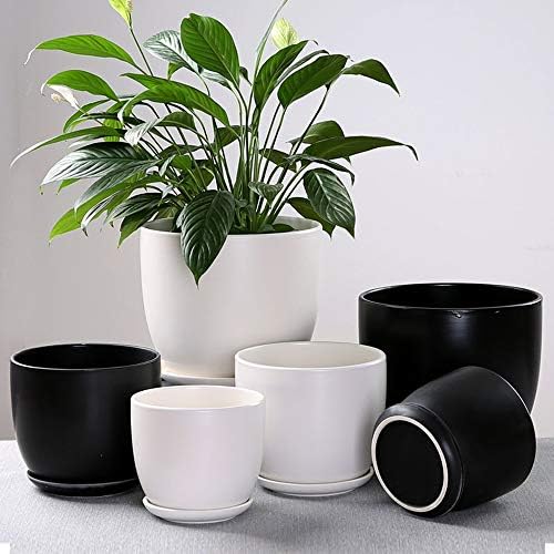 Ceramic Succulent Pots Indoor Outdoor Flower Pot with Bamboo Tray Planter Pot Plant Container Flowers Pots with Drainage for All House Plants,Matte Blue-XL,Matte Blue XL - Image 2