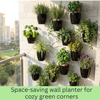LaLaGreen Indoor Wall Planters (5in, 10 Pack) Self Watering Hanging Pots - Image 6