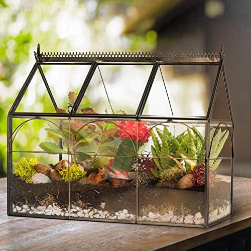 D'Eco Glass Greenhouse Plant Terrarium, Centerpiece & Wedding Letterbox - Image 2