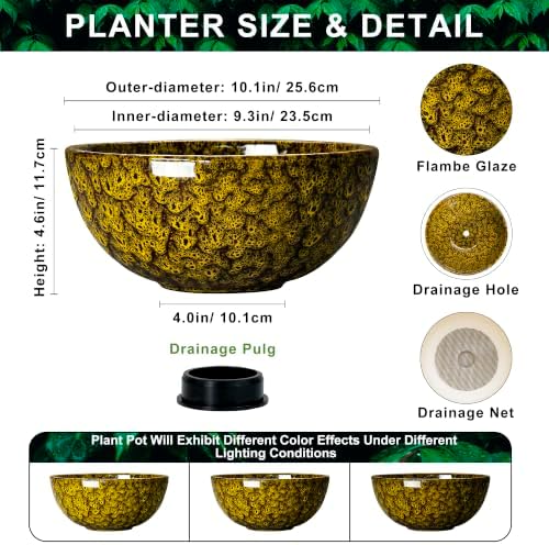 Succulent Pots, 10 Inch Ceramic Bonsai Pots, Yellow Leopard - Image 2