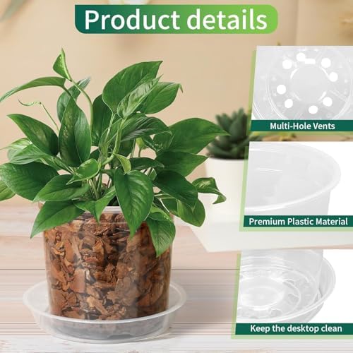 4/6/8/10 Inch Clear Nursery Pots with Drainage and Saucers, 24 Pack Clear Plant Pots, Variety Size Plastic Orchid Flower Pot for Indoor Outdoor - Image 3