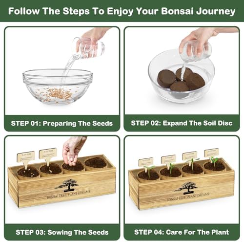LUOJIBIE Bonsai Tree Kit, Complete Bonsai Starter Growing Kit, Christmas Birthday Gifts for Women Men Mom Dad Girls Boys, Gardening Gift for Plant Lovers, White Elephant Gifts for Adults - Image 5