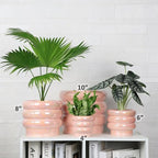 10 Inch Ceramic Plant Pot with Drainage, Planter for Indoor Plants - Image 4