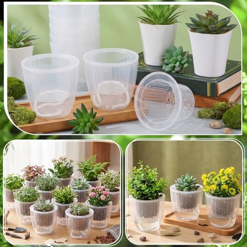 Self Watering Plant Pots, 4.3'', Transparent, 36 Pcs - Image 4