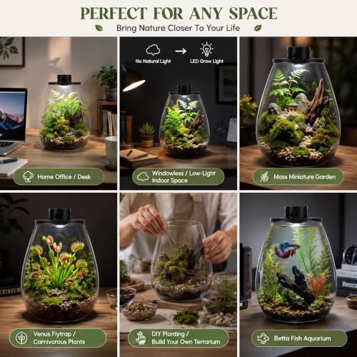 Maxdot Glass Terrarium Kit with LED Grow Light for Desktop,6.9 x 7.8 Inch - Image 6