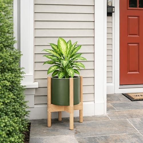 D'vine Dev Plastic Pot with Natural Wood Stand, Olive, 8 in, 55-C-J-3 - Image 2