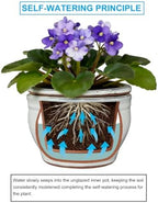 Self Watering Pot for African Violets Indoor Outdoor Plants, 6 inch, White - Image 5