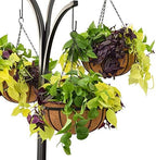Arcadia Garden Products Coconut Basket Hanging Garden Tree - Image 5