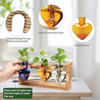 Plant Terrarium Propagation Stations Hydroponics - Image 2