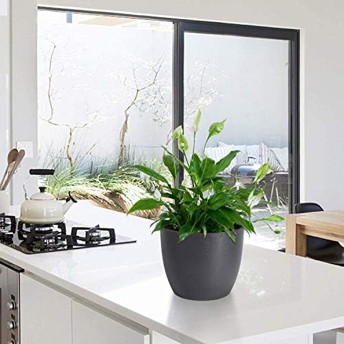 T4U Self Watering Planters Plastic 6 Inch Black Set of 10, Plant Flower Pot Modern Decorative Seeding Nursery Pots Outdoor Indoor Garden for All House Plants Flowers Herbs African Violets - Image 3