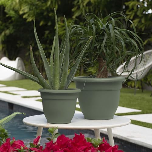 Bloem Ariana 8" Plastic Self-Watering Planter, Basil, 4-Pack - Image 2