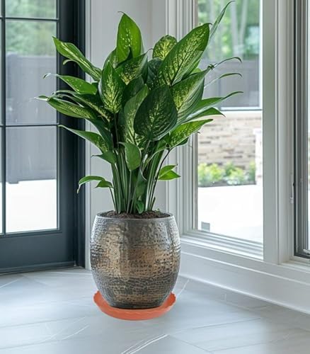4 Pack of 14 inch Plant Saucer Plant Tray, Plastic Plant Saucer, Heavy Duty Plant Tray for Pots, Plant Saucers for Indoors Planter, Garden Water Plate Bowls for Gallon Grow Bags (Terracotta) - Image 6