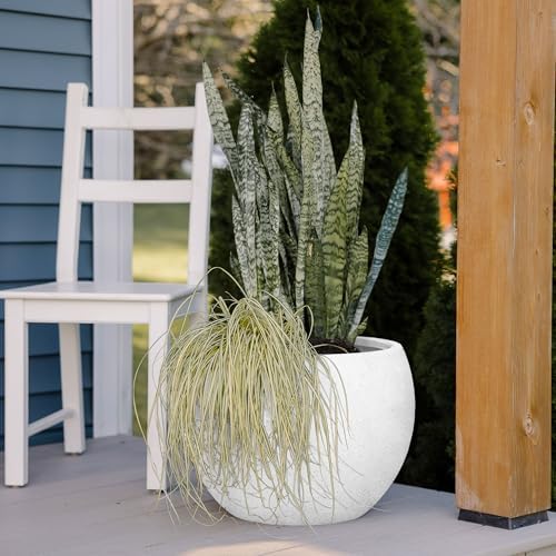 Beuta Large Poly Planters for Outdoor Plants - Set of 3, 8/12/14 Inches Outdoor Planters for Porch - Tall Planter for Outdoor & Indoor Plants | Large Indoor Plant Pot - USA Made - Limewash - Image 3