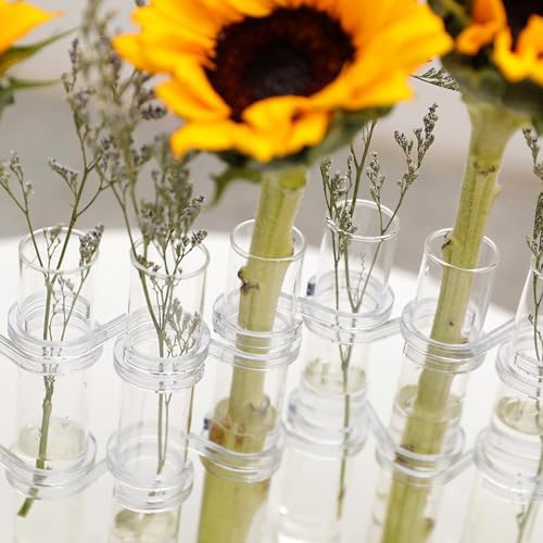 8pcs 18x3cm Hydroponic Glass Tube Vase Set Flower Arranging Container for Home Décor and Plant Propagation - Image 3