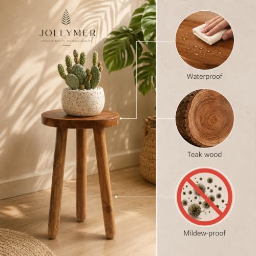 Teak Wood Plant Stand, 18" Round Side Table, Wood Accent Table - Image 4