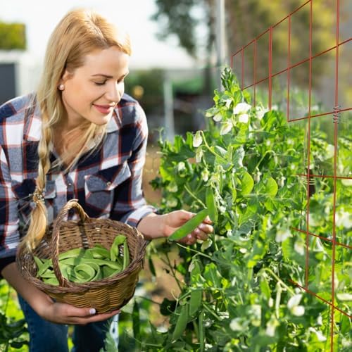 DOEWORKS 48" red A-Frame Trellis, 2-Pack, Foldable, for cukes, Beans, Tomatoes, Flowers - Image 6