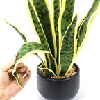 Bird Fiy Artificial Snake Plant 22.5" Faux Agave Fake Sansevieria Artificial Potted Plants for Indoor and Outdoor Home Office Décor - Image 6