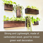 LaLaGreen Wood Planter Box for Plants (6 Pack) Wall Planters for Indoor - Image 4