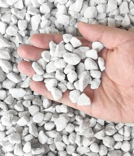 50 QT Professional Grade Horticultural Organic Vermiculite and Perlite (Large Size - Perlite, 50 QT) by MDPQT