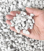 50 QT Professional Grade Horticultural Organic Vermiculite and Perlite (Large Size - Perlite, 50 QT) by MDPQT