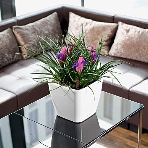 Lechuza Quadro LS 21 Scarlet Red High Gloss, Self-Watering Square Planter, H7.9 L8.3 W8.3 in - Image 5
