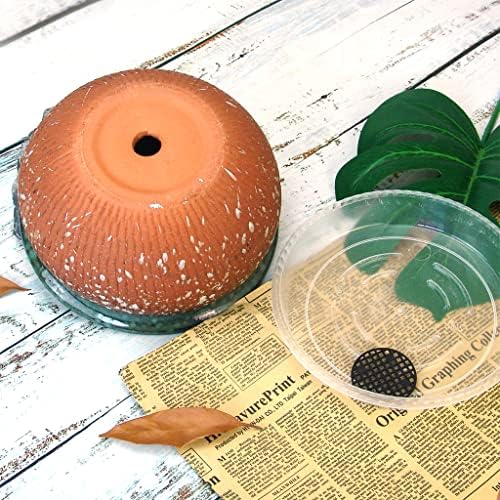 8 Inch Glazed Terracotta Plant Pot Round Ceramic Succulent Planter Pot with Drainage and Saucer Cactus Clay Pot Bonsai Pot (Dark Green Rim) - Image 3