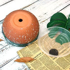 8 Inch Glazed Terracotta Plant Pot Round Ceramic Succulent Planter Pot with Drainage and Saucer Cactus Clay Pot Bonsai Pot (Dark Green Rim) - Image 3