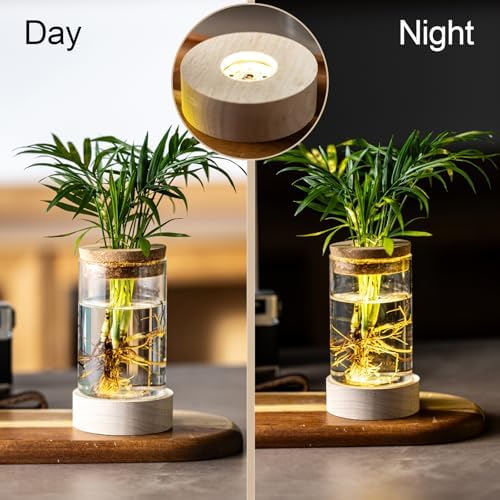 Glass Plant Propagation Stations, Propagation Vases for Plants with Ambient Light Base, Hydroponic Vase for Home & Office Windowsill Tabletop Decoration Desktop Vases for Living Room, Bedroom (6) - Image 5