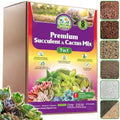 DUSPRO 7-in-1 Succulents & Cactus Soil Mix, Pre-Mixed & Ready to Use, 8 QT by DUSPRO